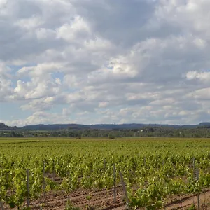 Сasa de vacaciones Casa Cal Tofol, Font-Rubi